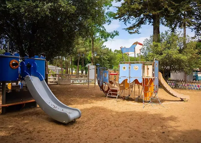 Mobile 502 Bois Dormant *