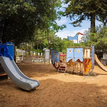 Mobile 502 Bois Dormant *